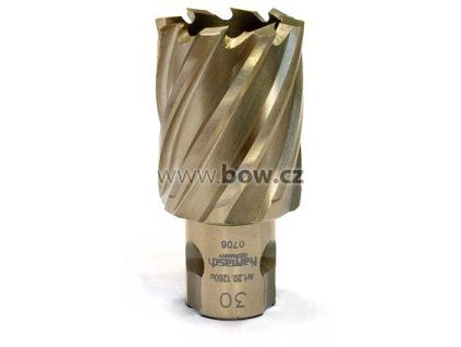 38720 1260u31 01 100507