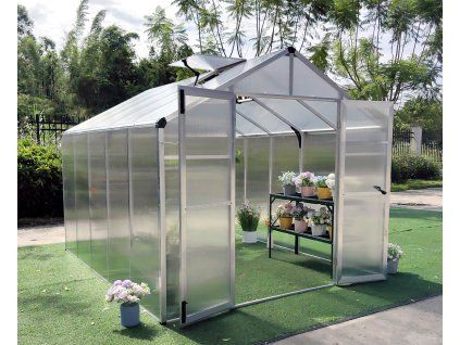 vega 6900 strong 24 01