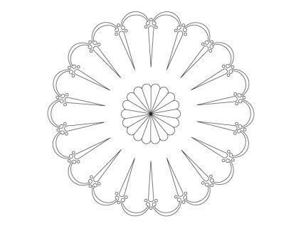 CRCS 801 01 web