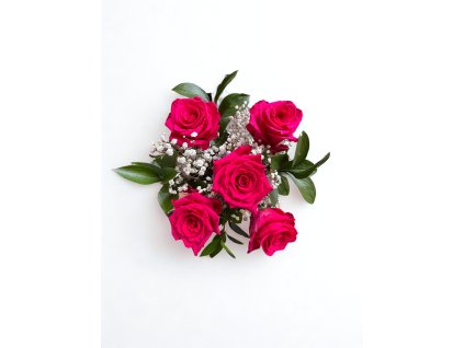 Obrázek WhatsApp, 2025 05 26 v 14.16.13 ee53083e – upraveno