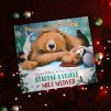 7324 stastne a vesele mily medved 01