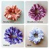 scrunchie gumicky farby