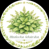 medovka lekárska