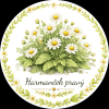 Rumancek