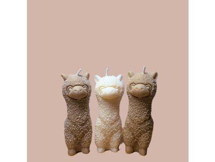 e4a8f22b d896 41d7 ad55 20164cace2b0