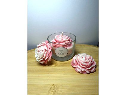 b788e127 4fc2 489e 8c9d a520bf473ca8