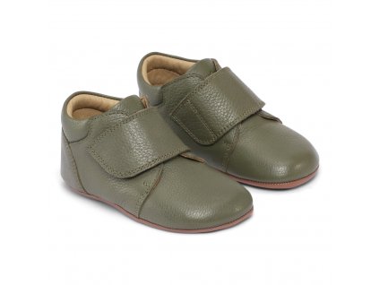 Tannu Olive M