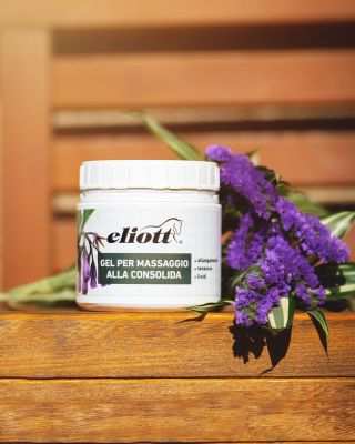 Gel per massaggi alla consolida, ideale per lenire infiammazioni e gonfiori dovuti a stiramenti o carichi di lavoro...