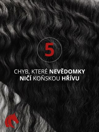 Neděláte některou z nich i vy? ✨ Krásná a zdravá hříva není jen otázkou genetiky. Velkou roli hraje i každodenní péče a...