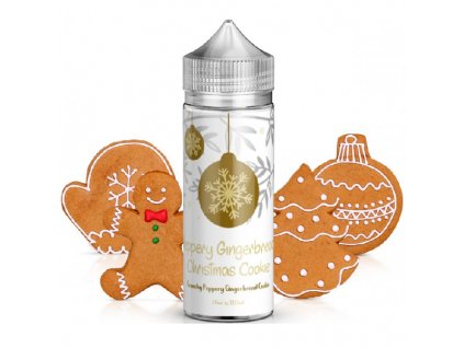 flavor aeon journey xmas edition shake and vape 24ml peppery gingerbread
