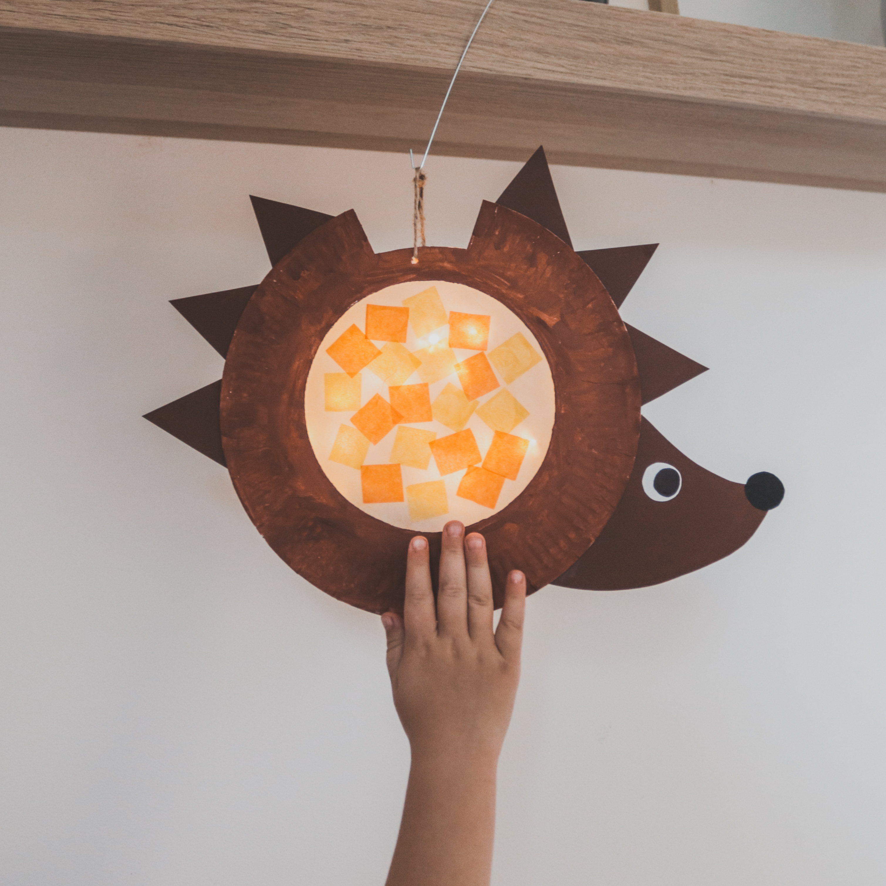 DIY Lampion