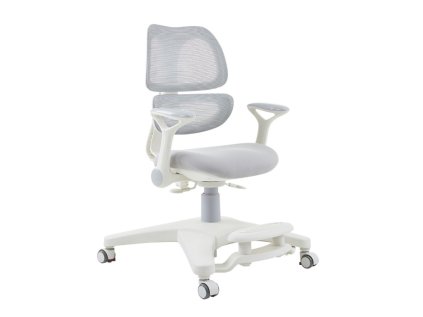 Dětská ergonomická židle k psacímu stolu s područkami - šedá