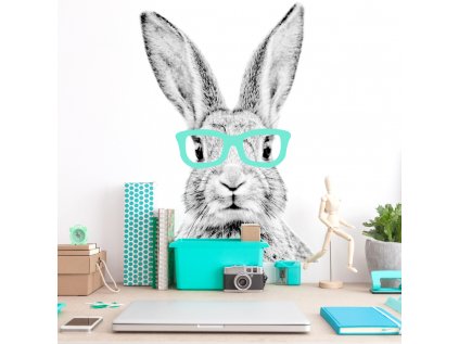 originální samolepka na zeď dětského pokoje, králík s barevnými brýlemi, je použitelná i jako atraktivní fototapeta. 