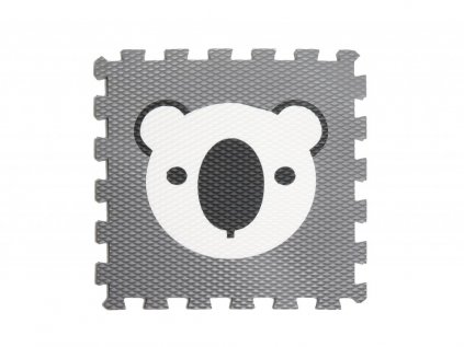 koala bílá