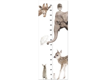 dekornik growth charts miarki deko.n.miar.001