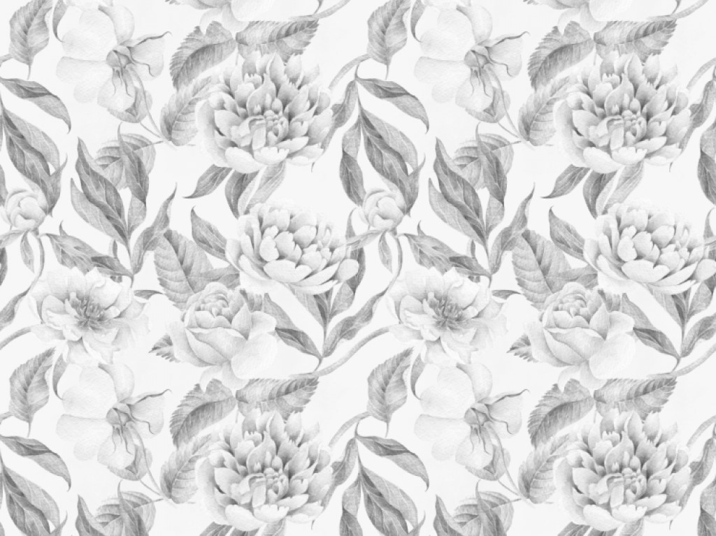 Yokodesign Tapeta Pivoňky a růže šedobílé Délka: 250 cm
