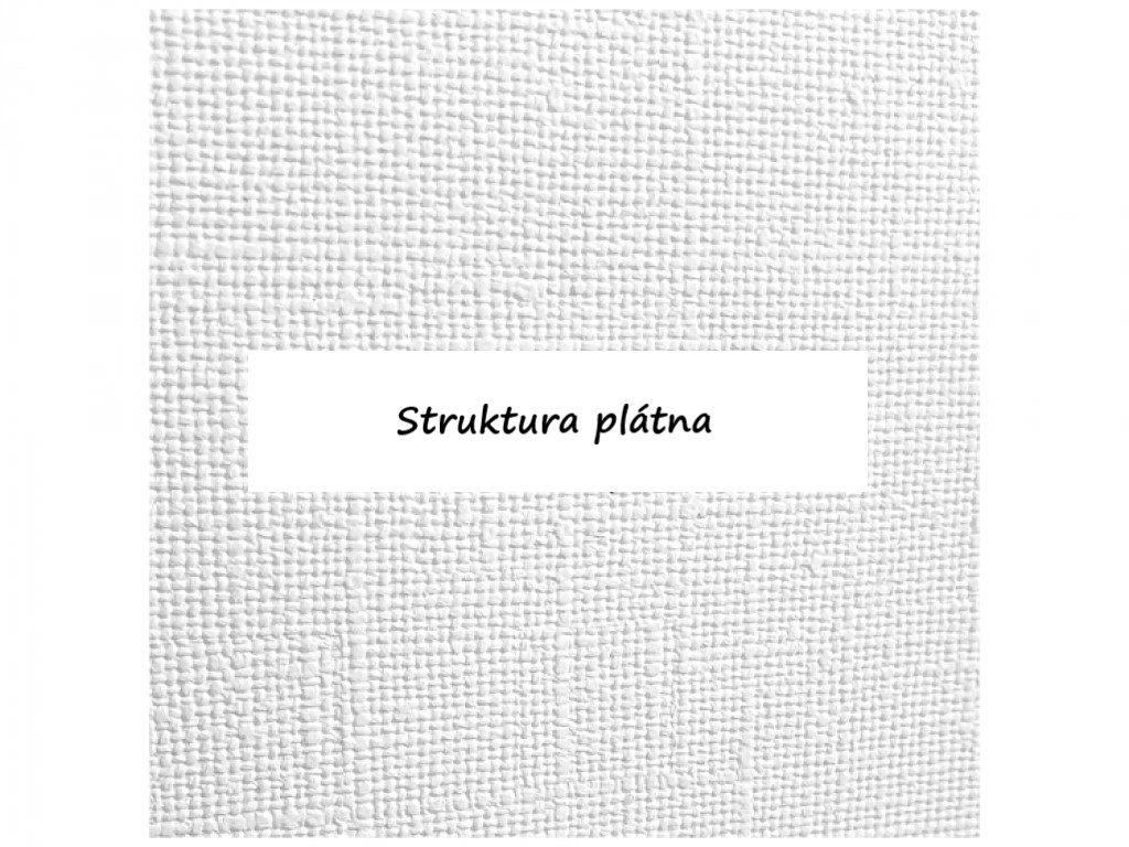 Yokodesign Tapeta Palmové listy Délka: 270 cm (obrázek 3)