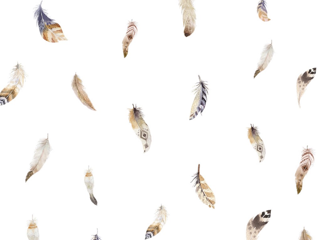 Yokodesign Samolepky na zeď – Peříčka