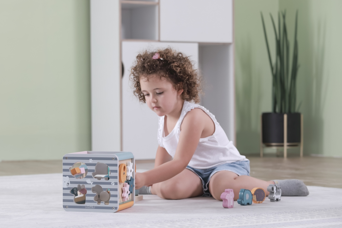 Viga PolarB box s aktivitami 5v1 (obrázek 5)