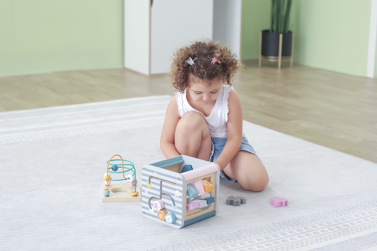 Viga PolarB box s aktivitami 5v1 (obrázek 9)
