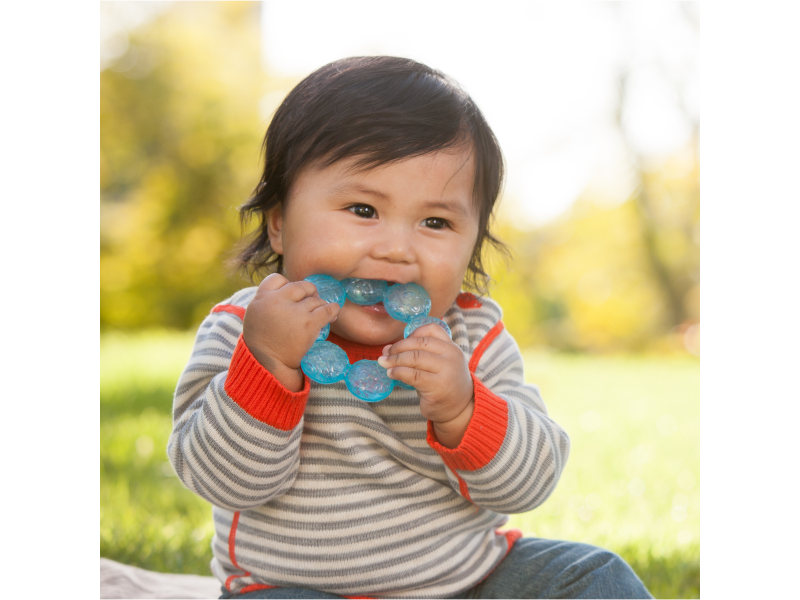 Infantino Chladicí kousátko modré