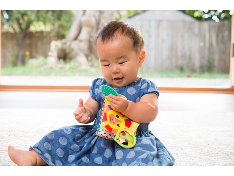 Infantino Závěsná textilní knížka