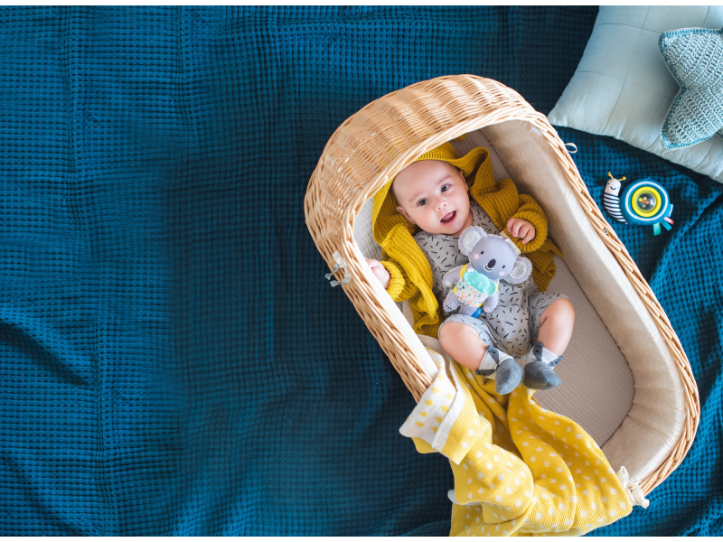 Taf Toys Koala Kimmi (obrázek 4)