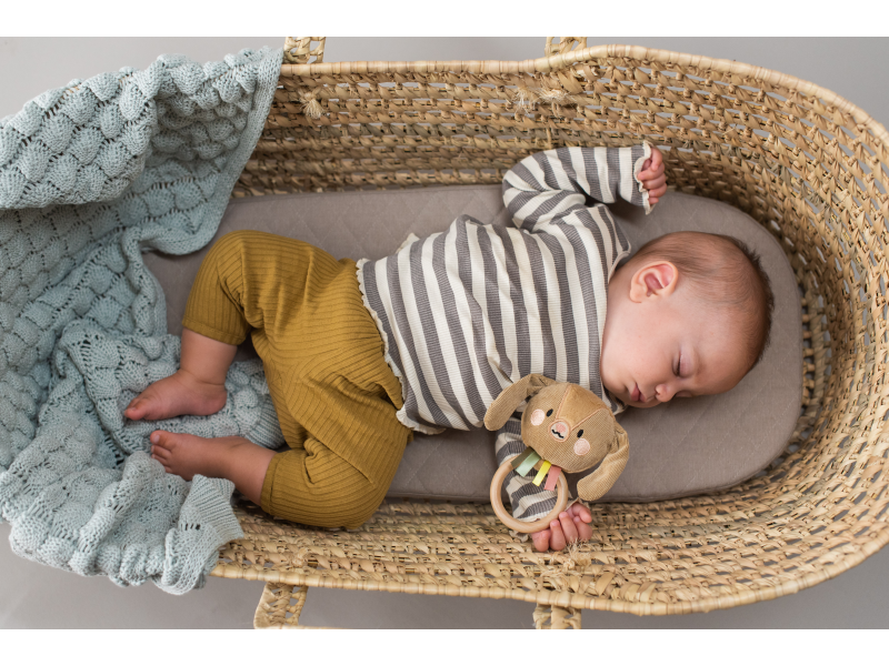 Taf Toys Chrastítko králíček Jenny (obrázek 3)