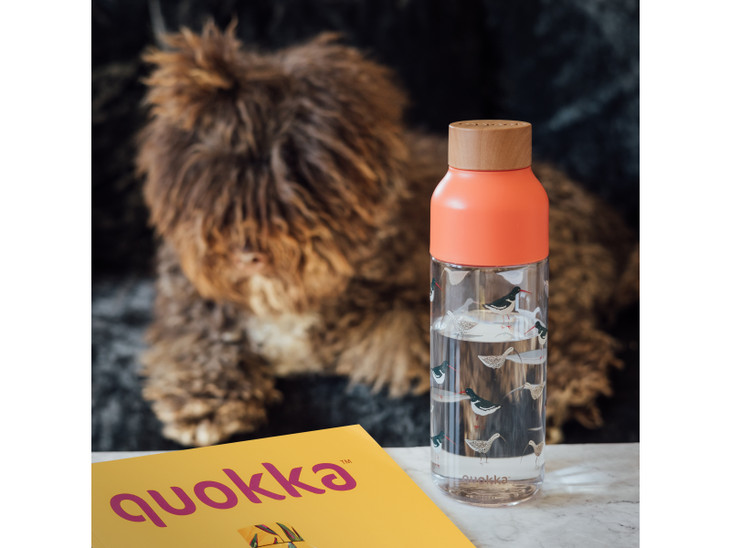 Quokka Plastová láhev Ice Birds 720 ml