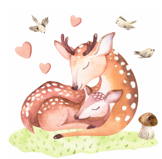 DEKORACJAN Nálepka na zeď – lesní království – zamilovaná zvířátka