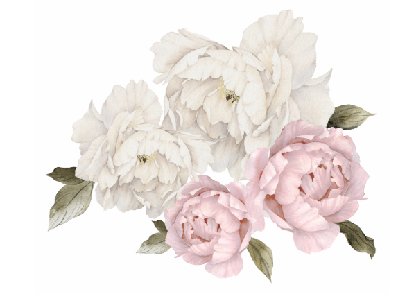 DEKORACJAN Nálepka na zeď – květy pivoňky světlé Velikost: L