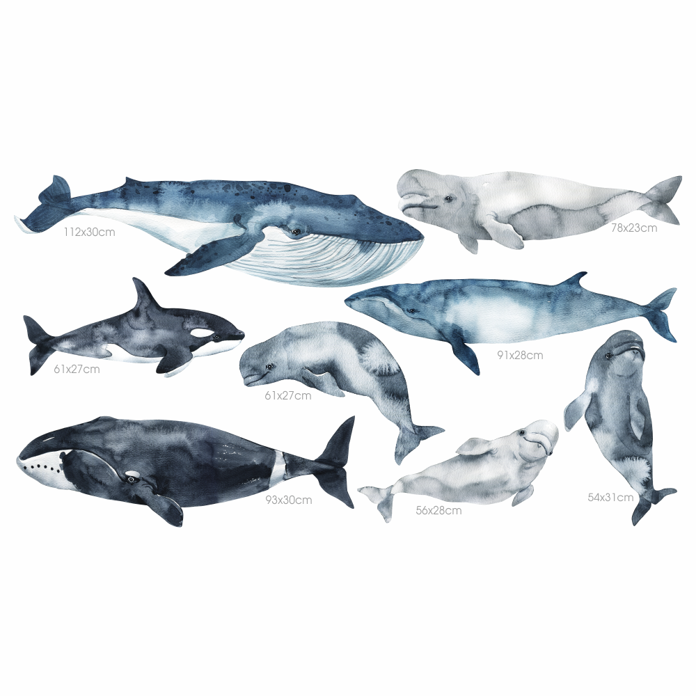 DEKORACJAN Samolepky - Velryby a delfíni (obrázek 3)