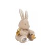 Králíček plyšový s aktivitami - Newborn Naturals