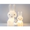 LED lampičky Mr Maria králíčci Miffy