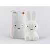 Roztomilé dětské LED světýlko králíček Miffy střední