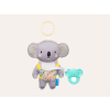 Koala Kimmi