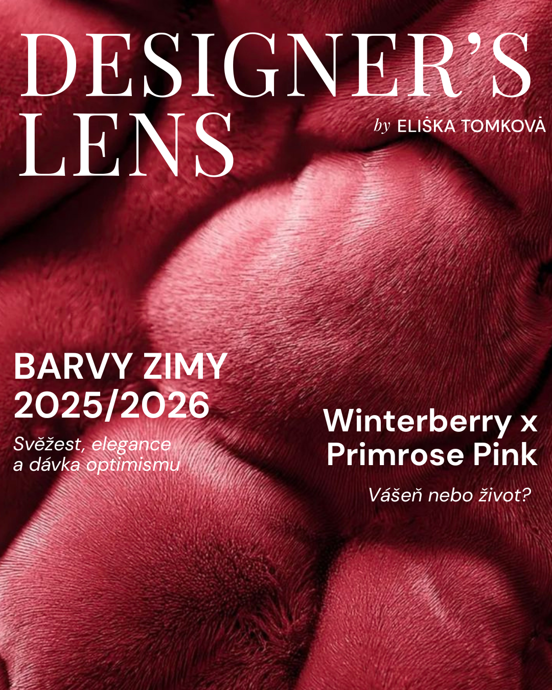 Zimní barvy 2025