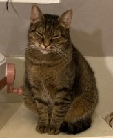                                     Zuzana ráda poradí
                            