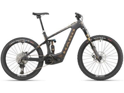 2025 MTB EGREER CARBON TOP BLACK GOLD SIDE