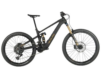 Velduro Rogue R EMTB