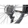Gravel Haro - Buzzard Carbon 2