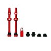 Web RED TUBELESS PRESTA VALVE 02 removebg preview