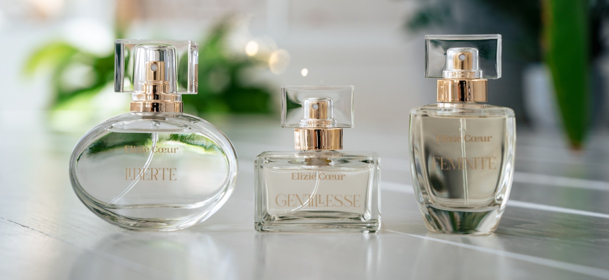 Odkaz na Facebook 🌐