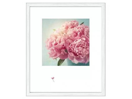 Obraz Scandic Living / 55 x 65 cm / motiv růžový květ