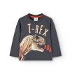 Tričko, dlouhý rukáv, T- Rex, tmavě šedé, Boboli