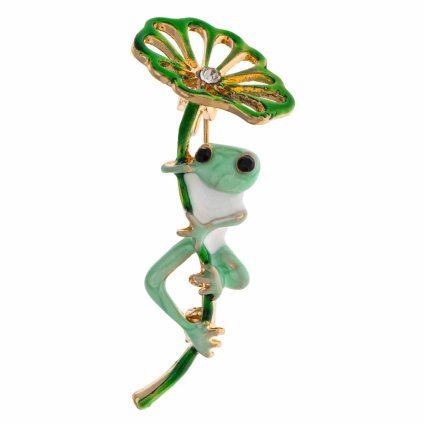 55816 broz zaba s lekninem 1776