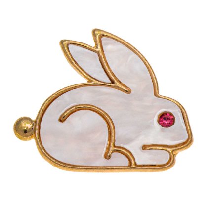 62021 broz kralik pozlaceny 9002122