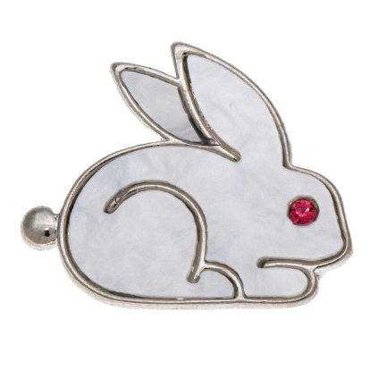 62024 broz kralik stribrne barvy 9002122 1