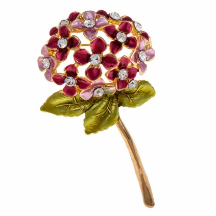 57142 broz hortenzie 1911