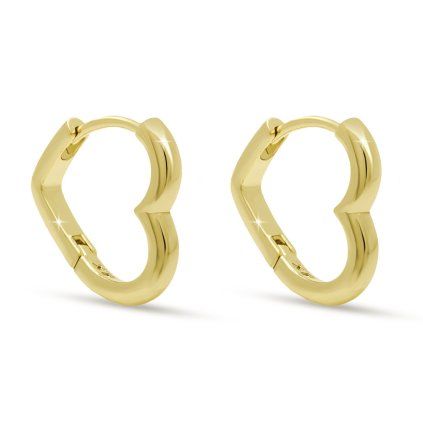 61666 verona 3900 nausnice srdce